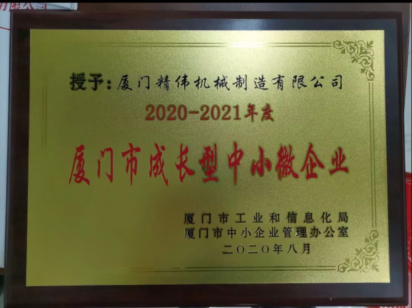 成(chéng)長型中小微企(qǐ)業2020-2021